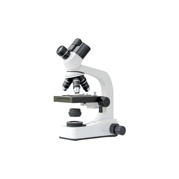 product image ten